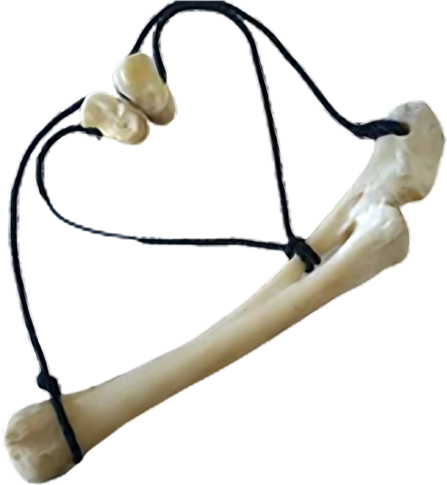 Bugj niiluulekh, bone and string puzzle